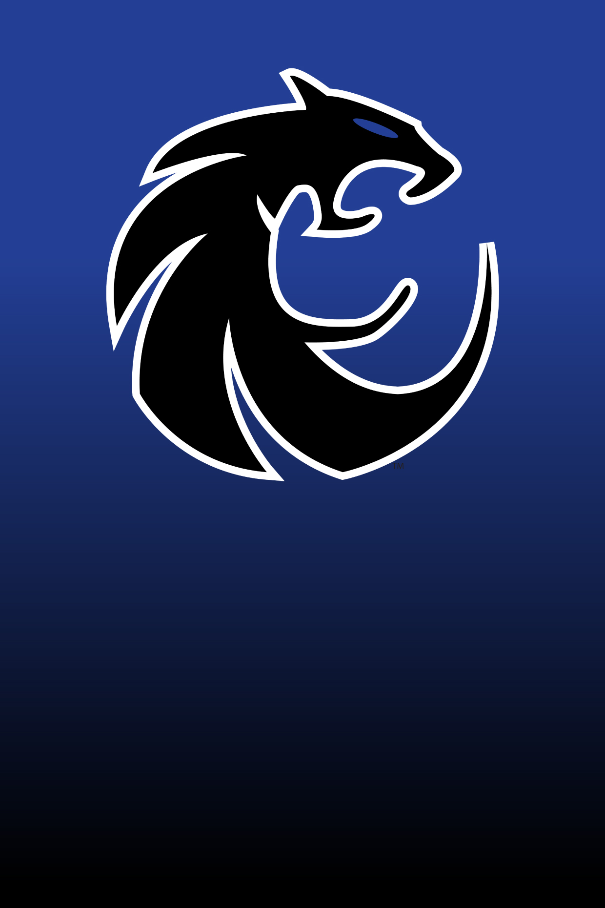 Assistant Principal